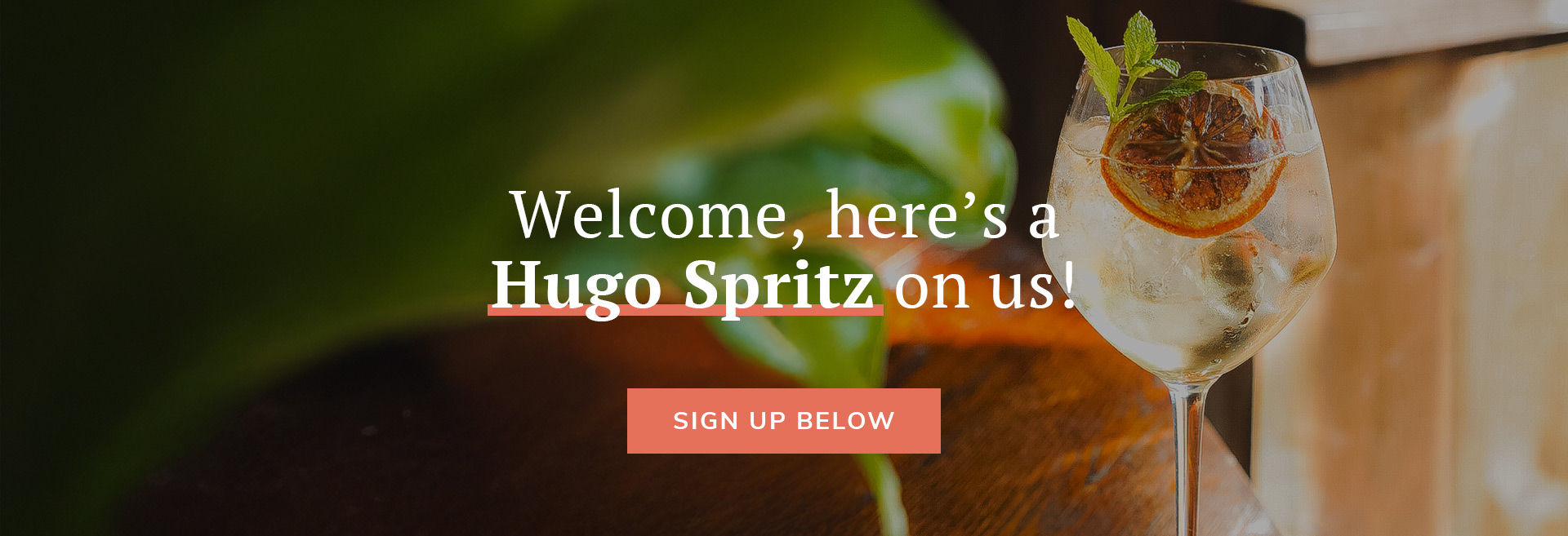 Sign up to the newsletter at The King's Head